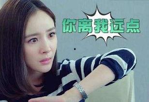 怼明星犯法吗,揭秘网络言论自由与违法界限